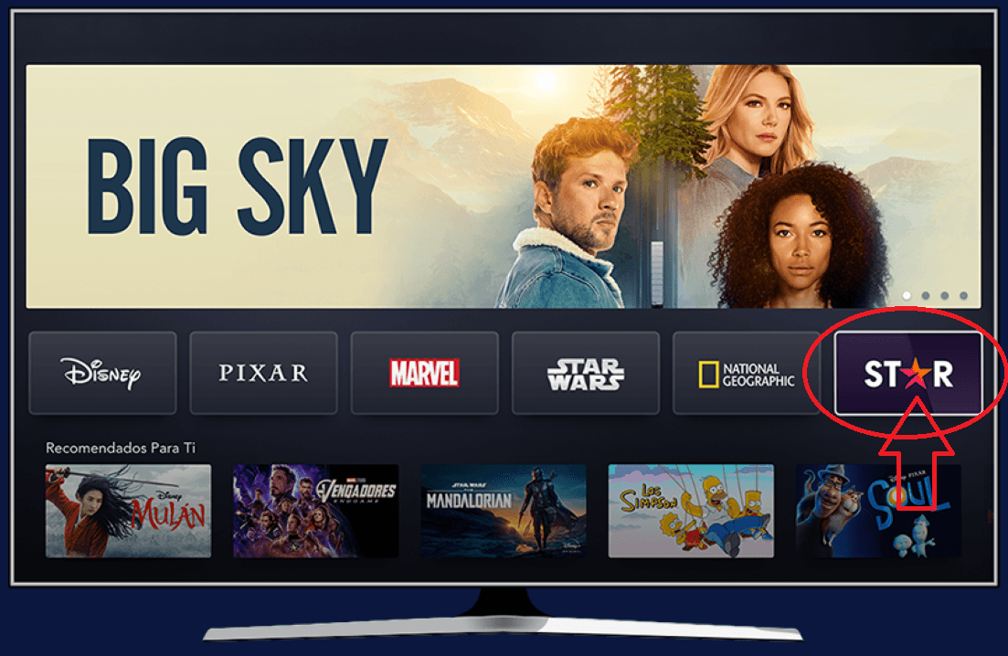 Selección de contenido Star+