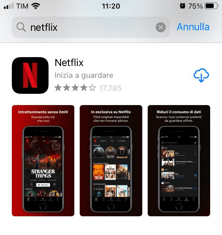 Scaricare Netflix su Iphone
