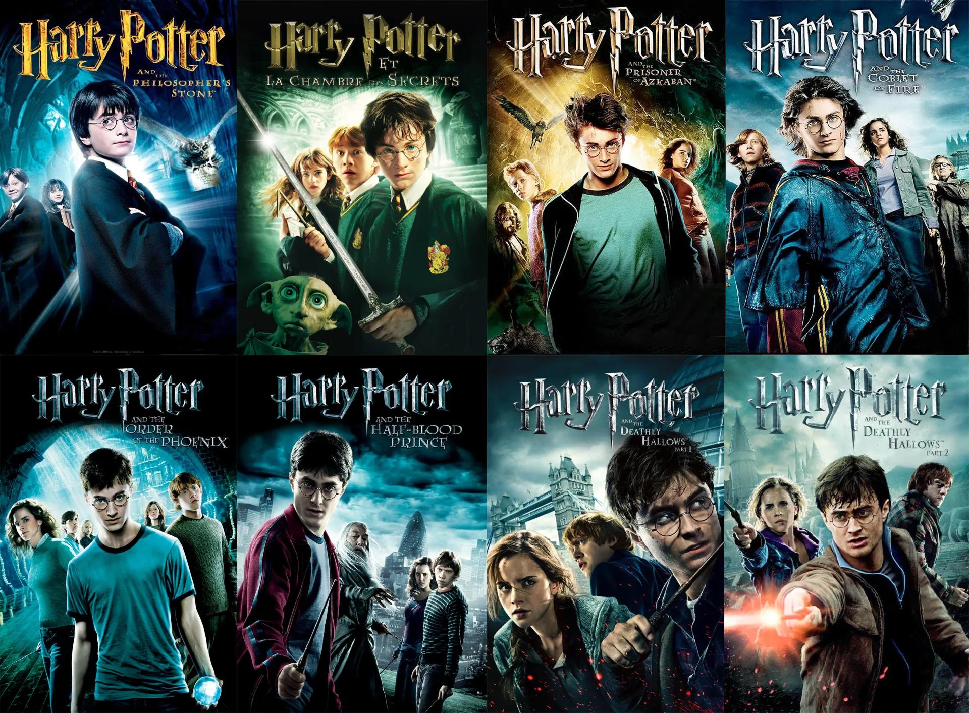 Harry Potter: Netflix