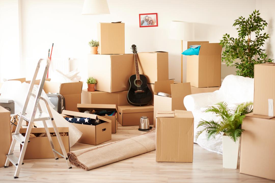 Amazon Prime cost Together Price US