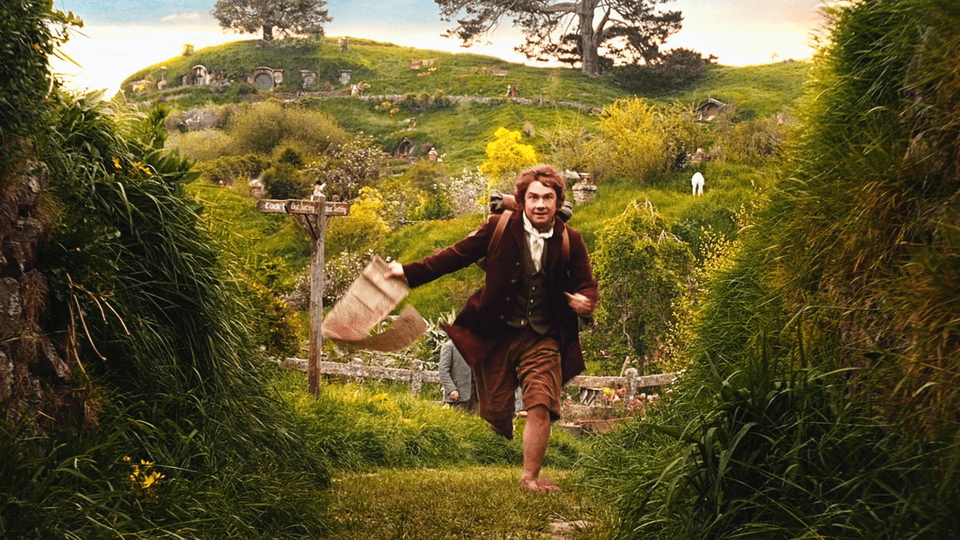 Watch The Hobbit: An Unexpected Journey, directed by Peter Jackson, on Hulu through HBO Max (make sure it is a watchlist add!) 