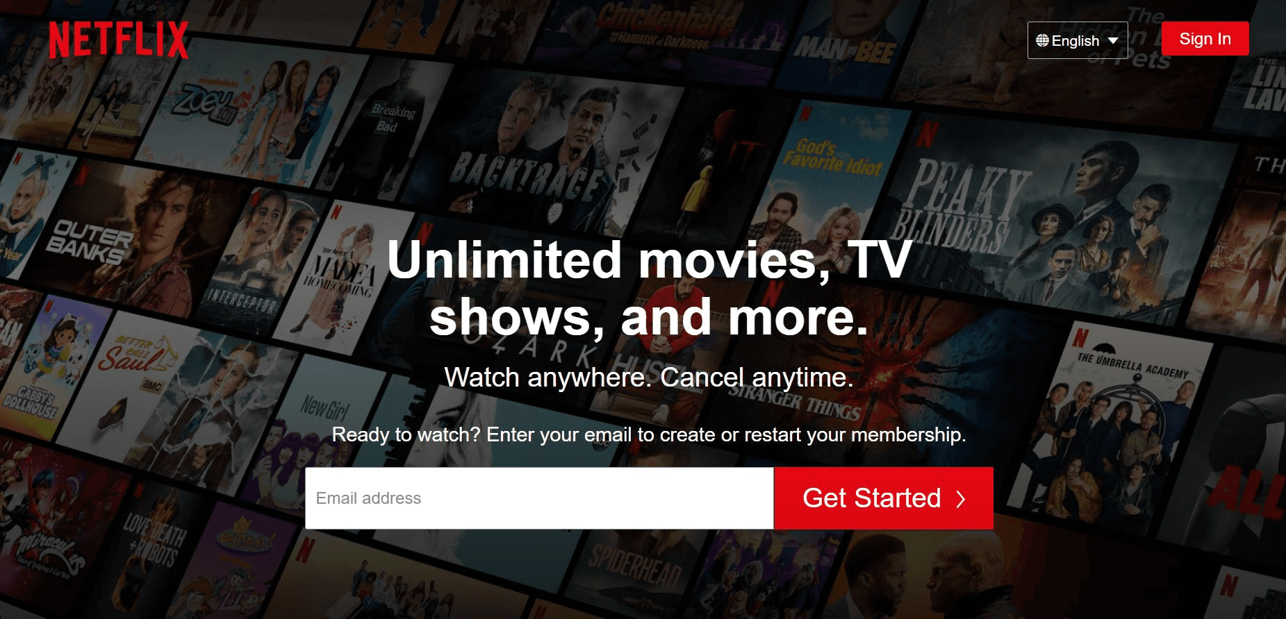 First page on the Netflix Inc website 