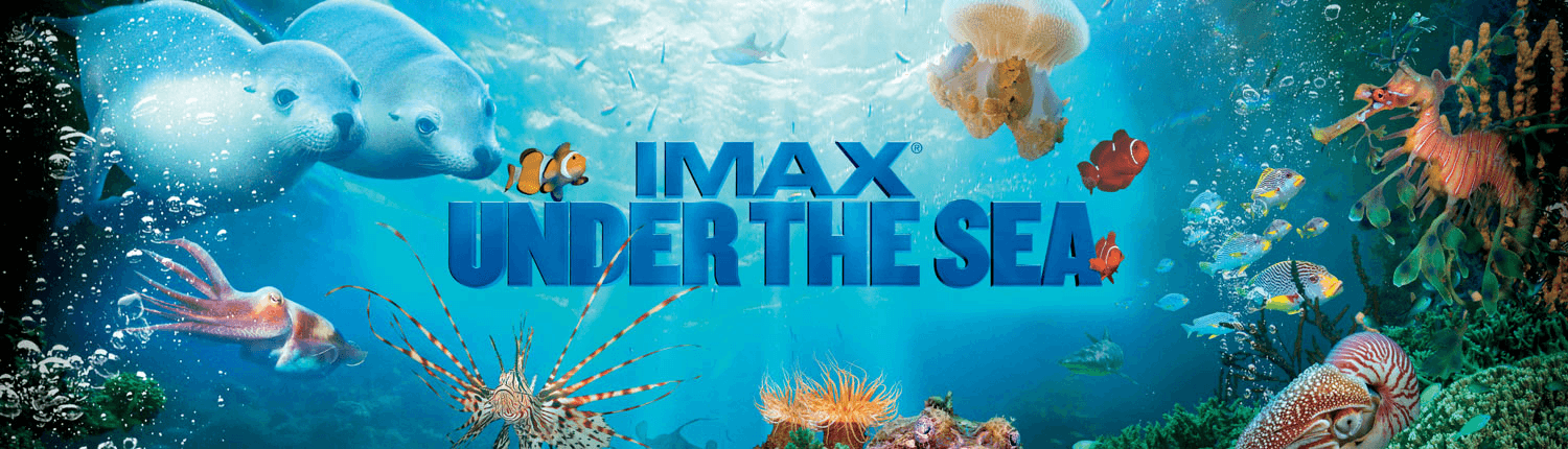 Under the Sea 3-D